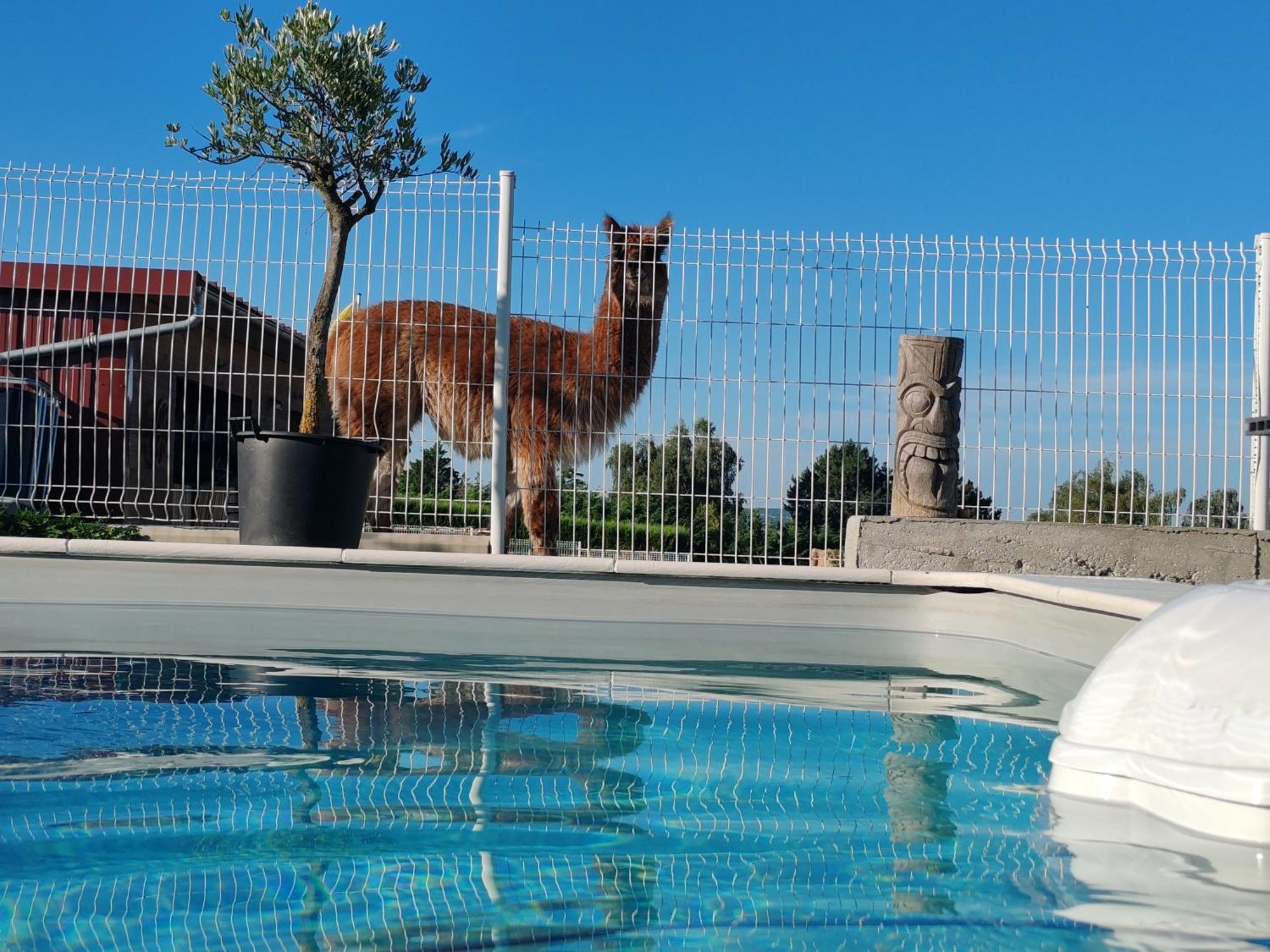 Teilhede Tiny House Des Bougnatsヴィラ エクステリア 写真